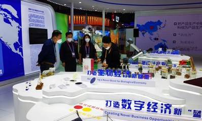 我校數(shù)字文化創(chuàng)意力作驚艷亮相第五屆進博會，彰顯創(chuàng)意設(shè)計新高度